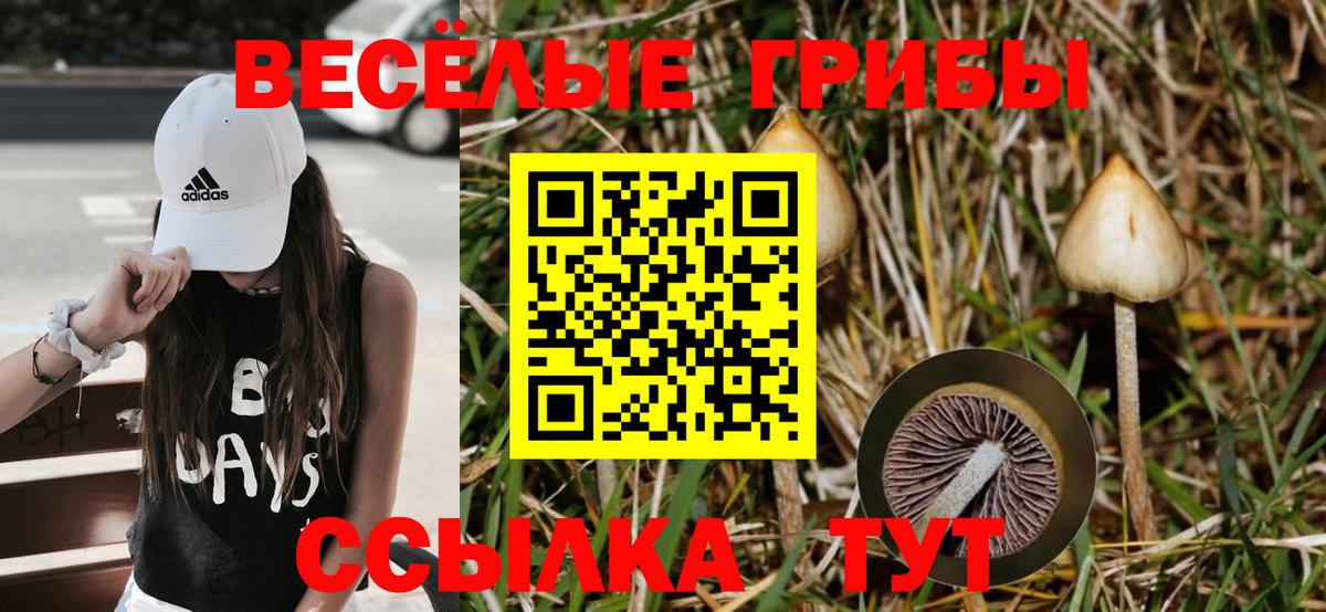 Псилоцибиновые грибы мицелий  что такое   Псилоцибиновые грибы GOLDEN TEACHER  Нурлат  Вход с VPN 